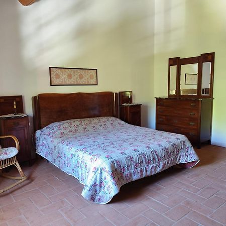 Casa Daria, Armonia Del Passato Nel Rispetto Della Natura Donoratico Luaran gambar