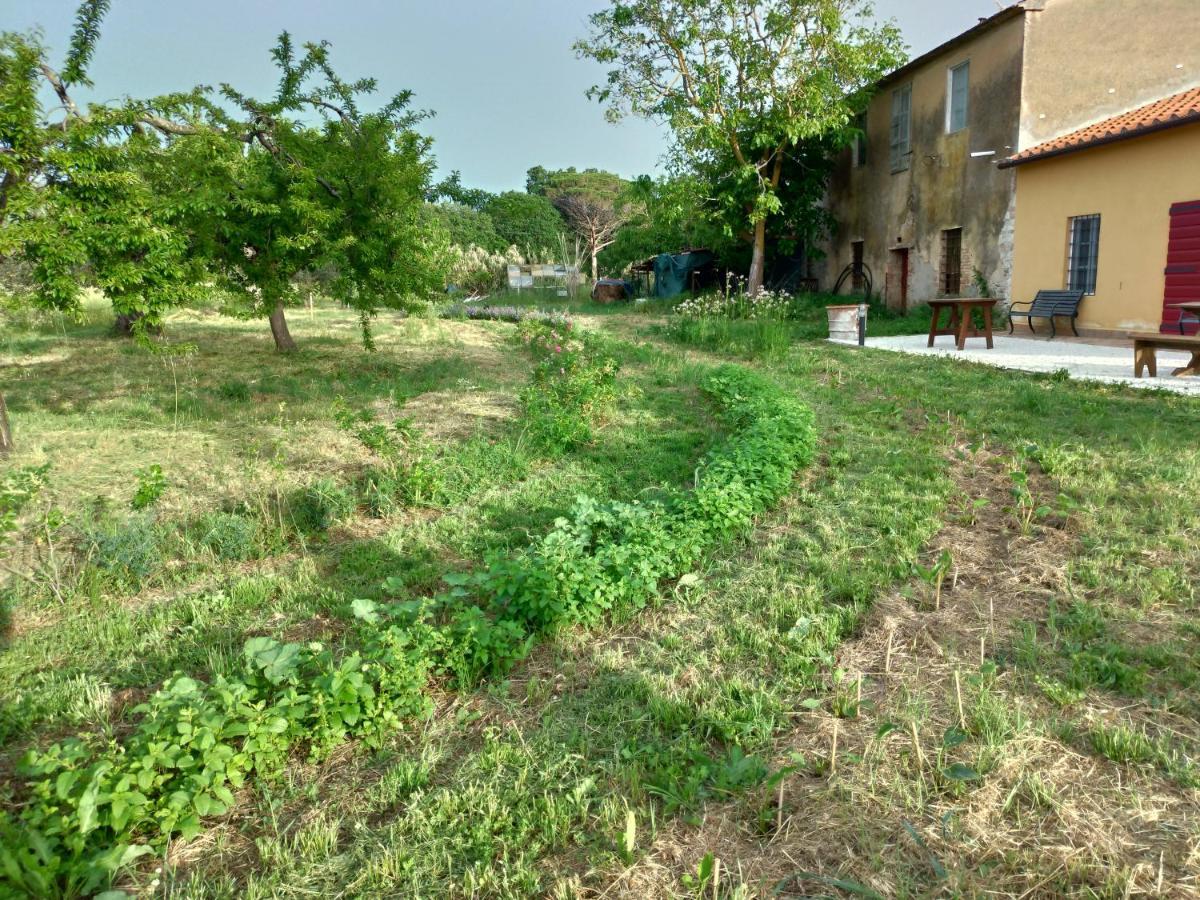 Casa Daria, Armonia Del Passato Nel Rispetto Della Natura Donoratico Luaran gambar