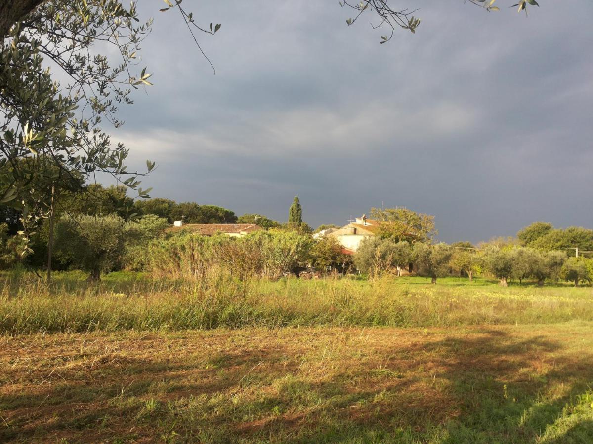 Casa Daria, Armonia Del Passato Nel Rispetto Della Natura Donoratico Luaran gambar