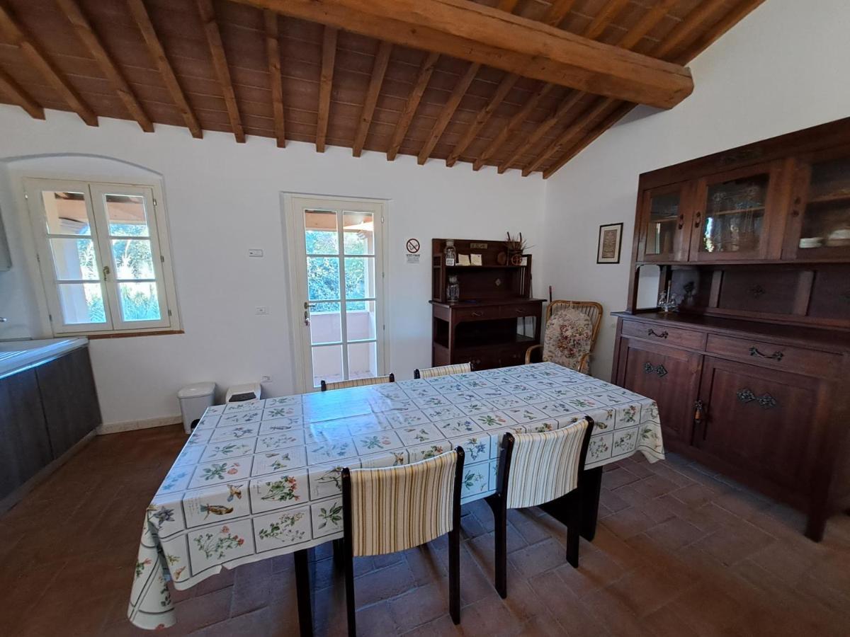 Casa Daria, Armonia Del Passato Nel Rispetto Della Natura Donoratico Luaran gambar