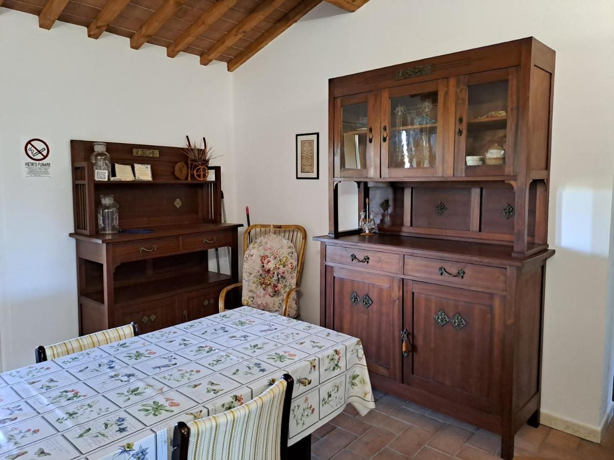 Casa Daria, Armonia Del Passato Nel Rispetto Della Natura Donoratico Luaran gambar