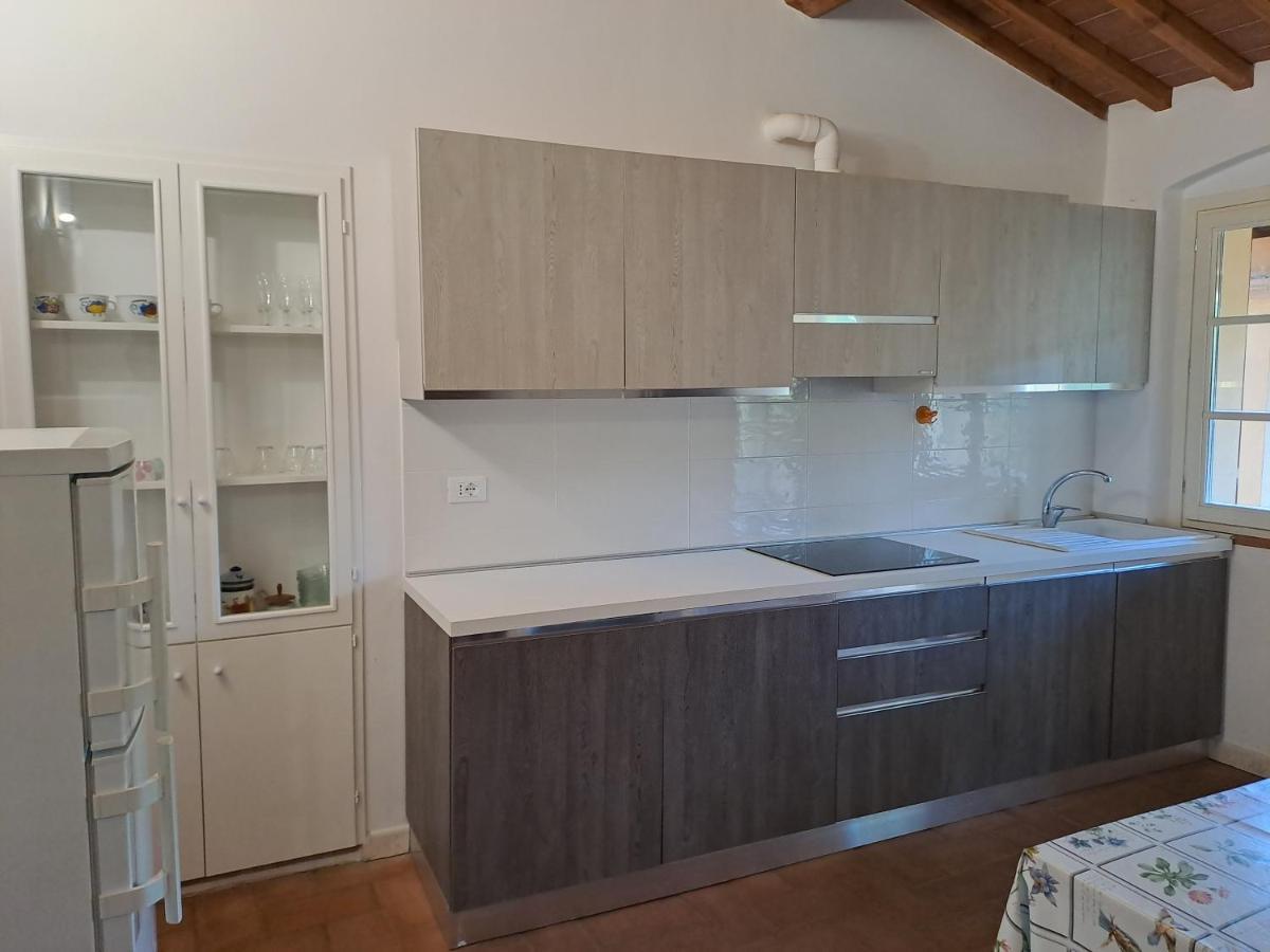 Casa Daria, Armonia Del Passato Nel Rispetto Della Natura Donoratico Luaran gambar